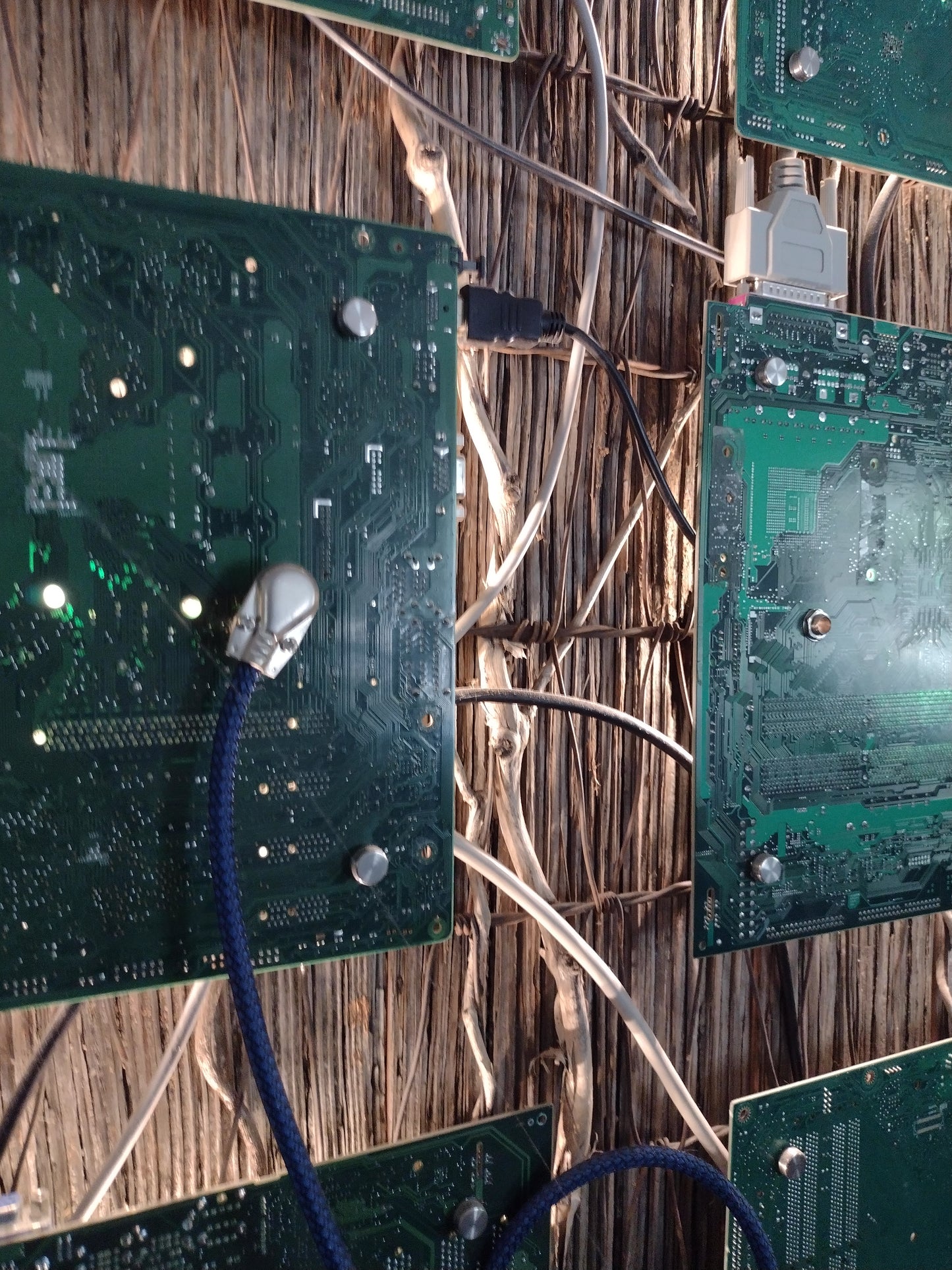 One of my brain cells